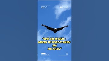 Soar Like an Eagle  Embrace Change and Rise Above  Inspirational Short