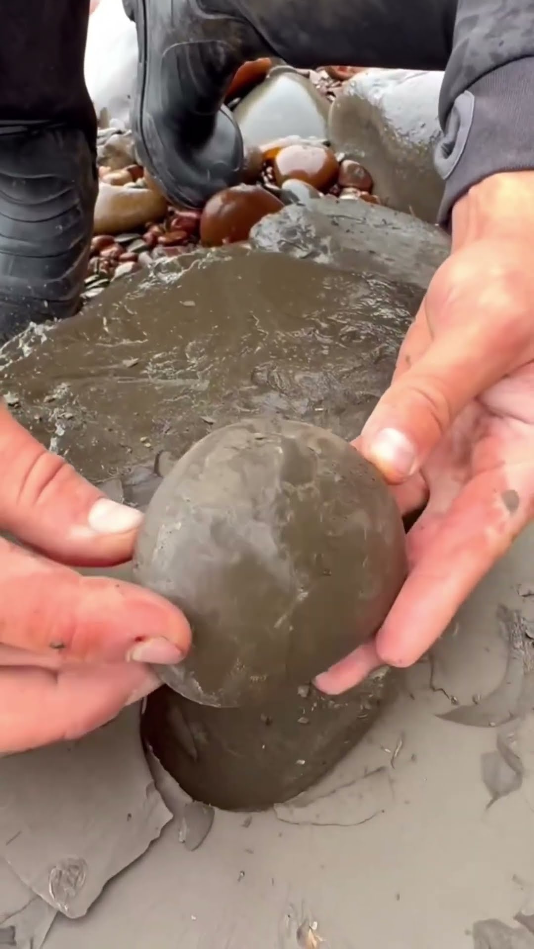 precious jewels found in stone #shortsvideo