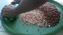 TIPS menggiling kacang tanah sangrai menggunakan botol - Durasi: 4.05. 