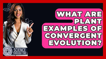 What Are Plant Examples Of Convergent Evolution? - Science Through Time