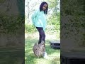 Seal, Dog, Parrot & Soccer: TikTok's Animal Antics!