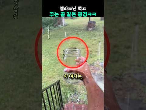 멜라토닌 먹고 꾸는 꿈 같은 장면 thumbnail