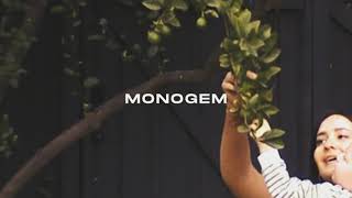 MONOGEM - Lemon Tree (Lyric Video) Resimi