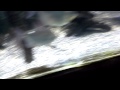 Морские электрические скаты