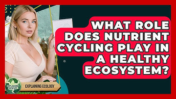 What Role Does Nutrient Cycling Play In A Healthy Ecosystem? - Explaining Ecology