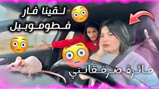 ماتصوروش شنو وقع ملي شافت الفار😳😱😱قتلاتني عصى😱