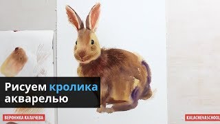 Как нарисовать кролика акварелью — kalachevaschool.ru Как нарисовать кролика акварелью — kalachevaschool.ru