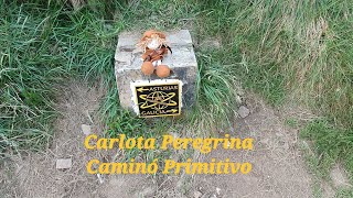 Camino Primitivo, Etapa 8, Fonsagrada - Castroverde. 11 de Junio 2025 #baraliperegrino