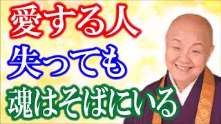 【瀬戸内寂聴】肉体は滅びても魂や念は続いている。愛する人はいつもそばにいます【神々の集い】