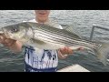 Lake Pleasant STRIPER FISHING! (Phoenix, AZ) *Arizona Day 1* Lake Pleasant STRIPER FISHING! (Phoenix, AZ) *Arizona Day 1*