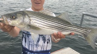 Had a great time for couple of days out on the lake. sorry i didnt do
catch and cook because we didn’t have right stuff to be doing it
this day but i...
