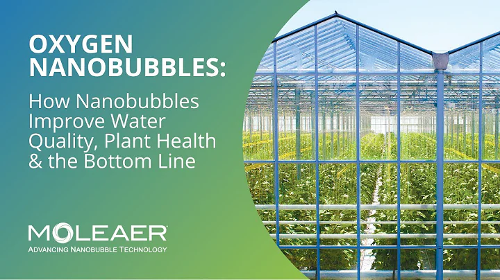 Moleaer Agriculture Webinar: How Nanobubbles Improve Water Quality, Plant Health & the Bottom Line