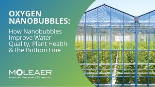 Moleaer Agriculture Webinar: How Nanobubbles Improve Water Quality, Plant Health & the Bottom Line