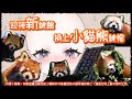 雜談|新鍵盤到貨!準備好把鍵盤變成小貓熊的形狀了【玖璐】#露手注意