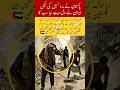 5 Sal ke bad phar se khushiyan lot ain #trending #shorts #HopeReturns #SadToHappy #art#army#pti#love