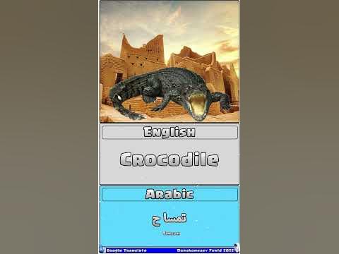 Crocodile in different languages - YouTube