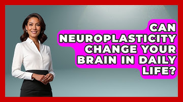 Can Neuroplasticity Change Your Brain In Daily Life? - Brain Development Hub