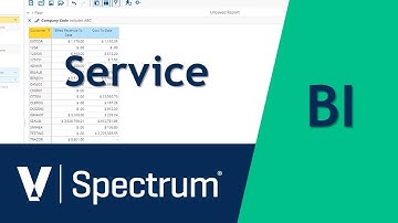 Spectrum BI Service