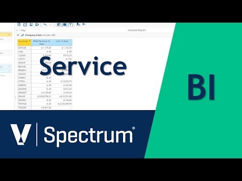 Spectrum BI Service