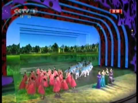 歌舞《因为有你》-2011央视春晚CSSFA@AU
