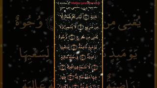 surah alaq Al Quran Islamic#surah Alaq#surah #shorts #alquran #islam