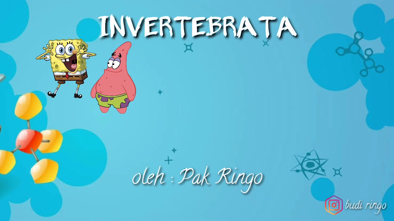  Klasifikasi Invertebrata  YouTube