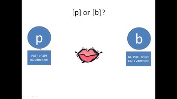 Park and Bark: The Difference Between Voiced and Voiceless Consonants