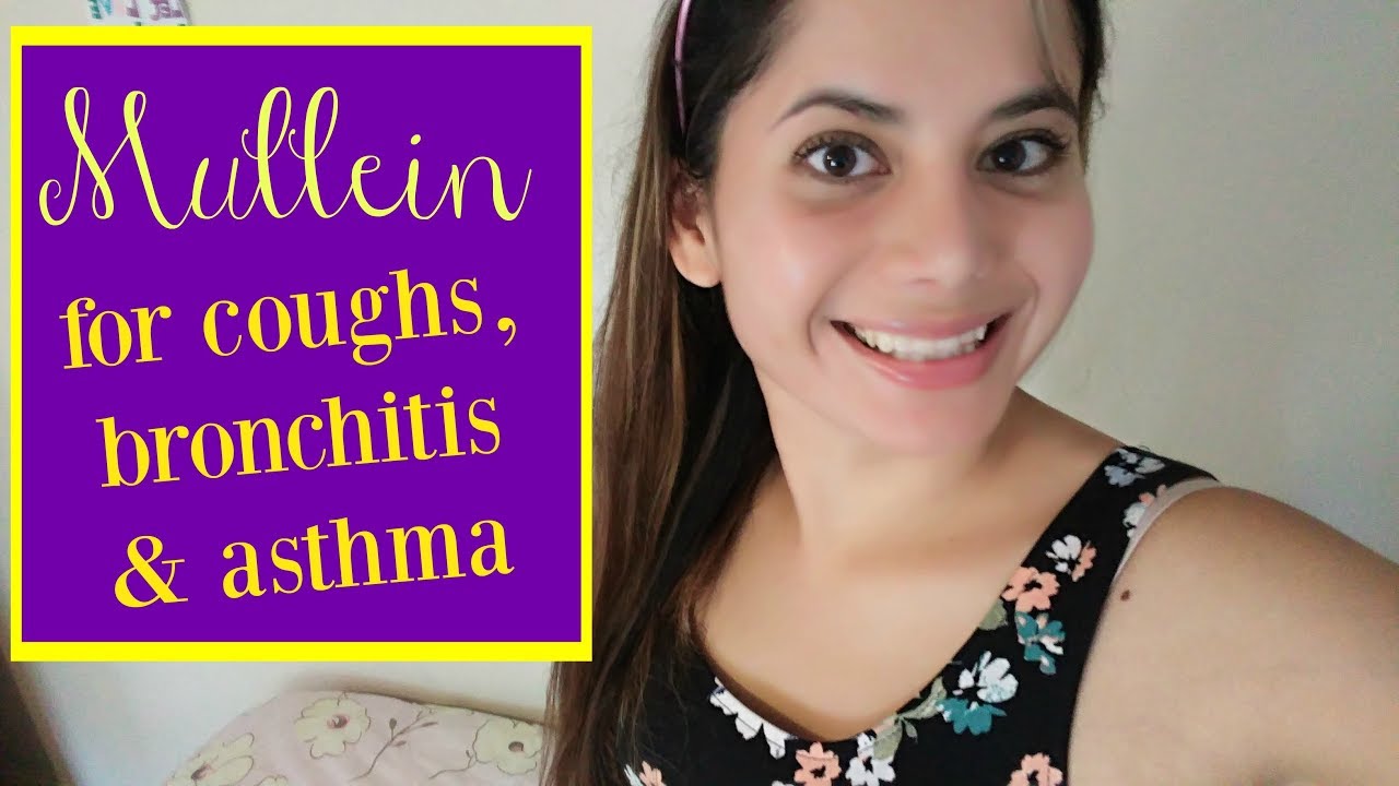 Mullein Benefits | Natural Alternative For Congestion, Bronchitis & Asthma - YouTube