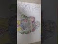 legacy of kain young kain drawing