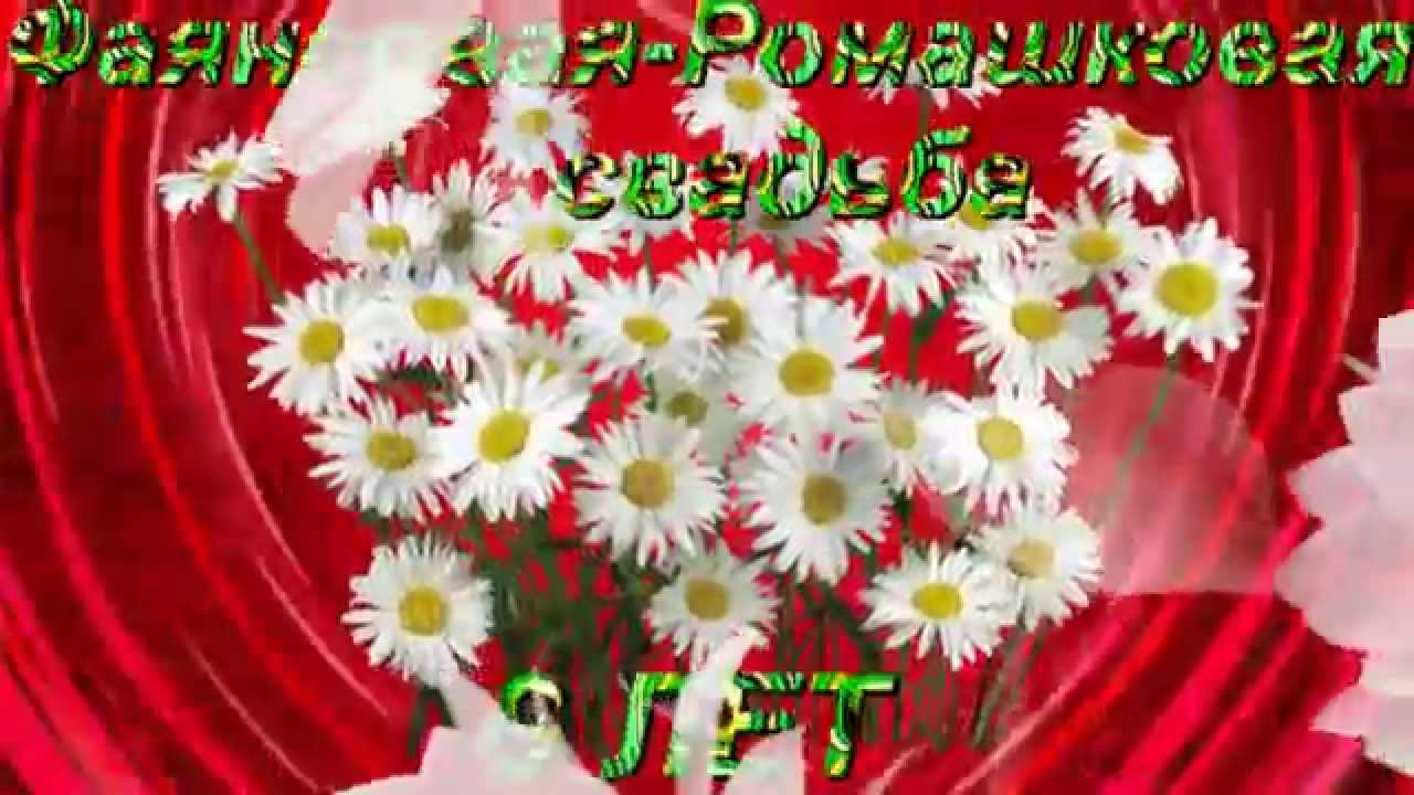 Поздравления с днем свадьбы 9. Открытки с днём свадьбы 9 лет. 9 Годовщина свадьбы. 9 Лет фаянсовая свадьба. Ромашковая свадьба.