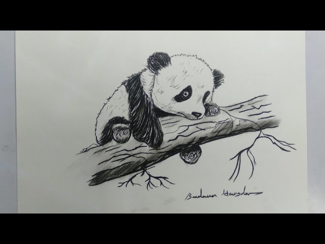 Vector Illustration of Lovely Cartoon Panda Sitting Together on White  Background. Happy Romantic Little Cute Panda Stock Vector - Illustration of  adorable, panda: 143453860