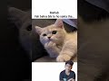 #funny #comedy #memes #cat #aesthetic #chanchal_singh #relatable #fypシ
