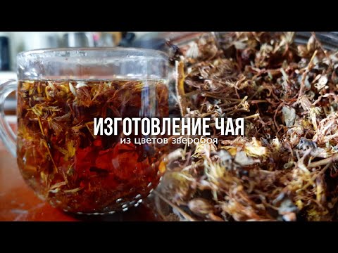 Как приготовить чай из зверобоя/All MAE