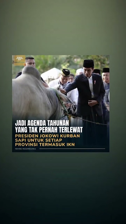 Jokowi Kurban Sapi. #shorts #short #jokowi