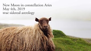 New Moon in constellation Aries - May 4th 2019 - true sidereal astrology