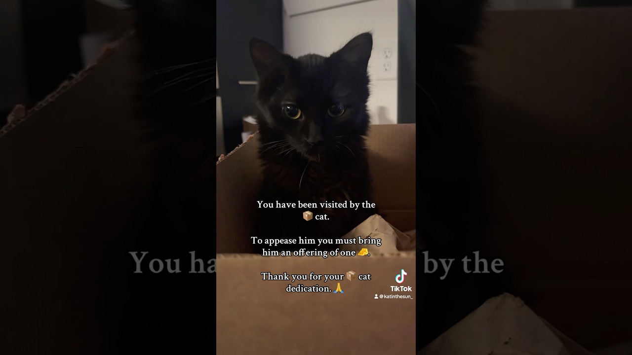 Thank you for your contribution 🧀 