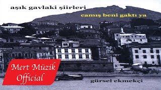 Gürsel Ekmekçi - Anasının Nazlı Gülü Resimi