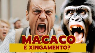 Por que chamar alguém de macaco é racista?