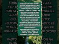 #история #историиизжизни #лифт #Настя #соседи #доброта #умиление