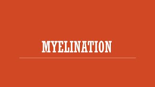 Myelination