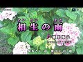 【新曲】相生の雨・瀬川瑛子・ cover  平林 由美子