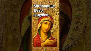 Богородице Дево, радуйся.