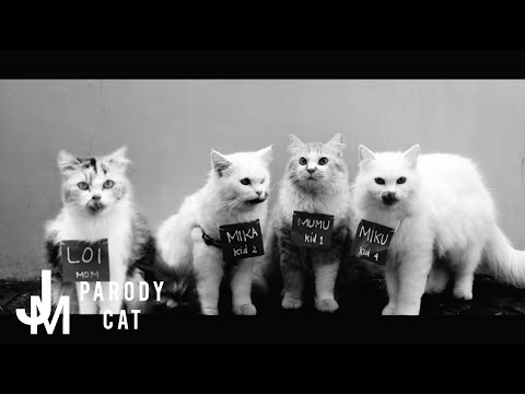 BTS (방탄소년단) 'Butter' Official MV PARODYCAT || BLACKCINK