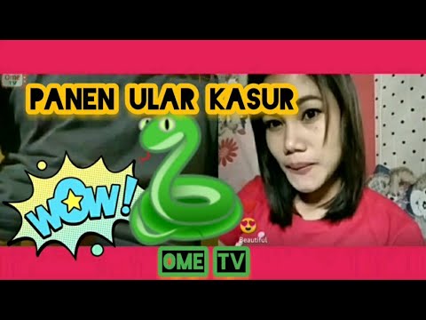 OME TV❗ULAR KASUR INI BIKIN TREPELING ❗OME TV INTERNASIONAL