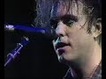 The Cure - Push | Hollywood Rock Live (1996)