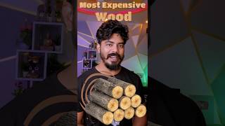 Most Expensive Wood In The World - African Black Wood