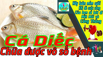 Cá diếc chữa được vô số  bệnh từ già đến trẻ mà mọi người thường hay bỏ qua