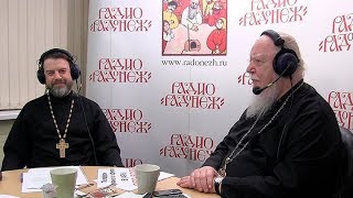 Радио «Радонеж». Протоиерей Димитрий Смирнов. Видеозапись прямого эфира от 2017.11.18