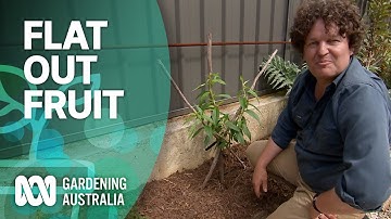 How to grow fruit flat out | Urban Farming | Gardening Australia