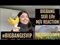 BIGBANG - &#39;봄여름가을겨울 (Still Life)&#39; M/V REACTION | I CANT STOP CRYING #BIGBANGISVIP